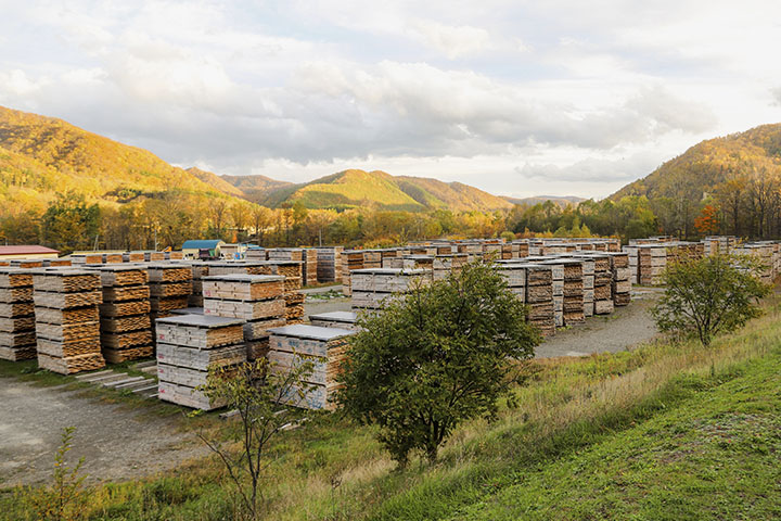 [Photo] Wood used in musical instruments