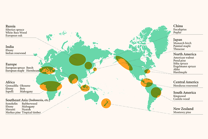 [Photo] Main areas for producing musical instrument wood