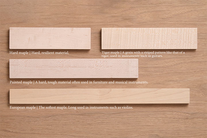 [Photo] Different varieties of maple used in musical instruments