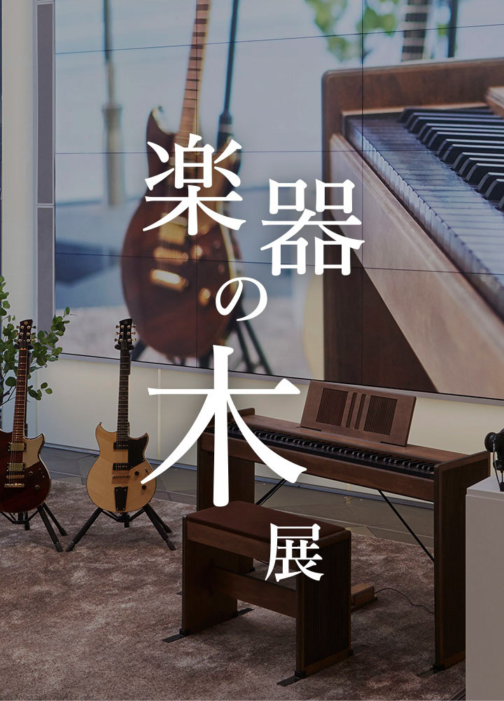 Musical Instrument Wood Exhibition