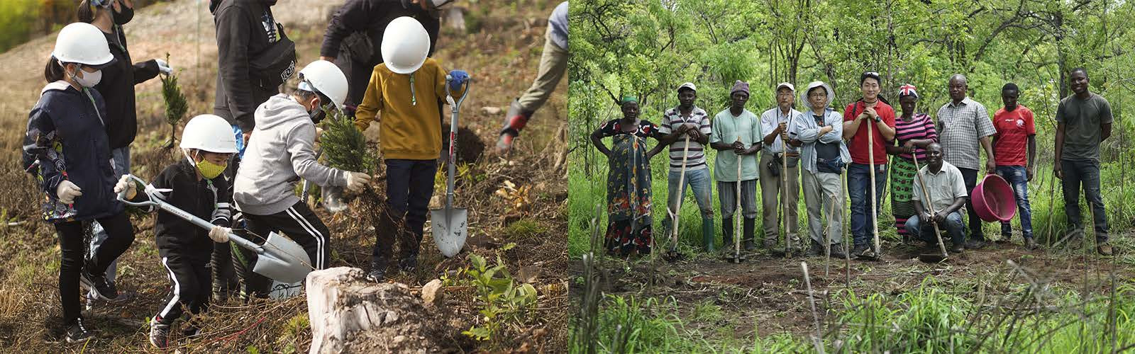 [Photo] To avoid depleting trees