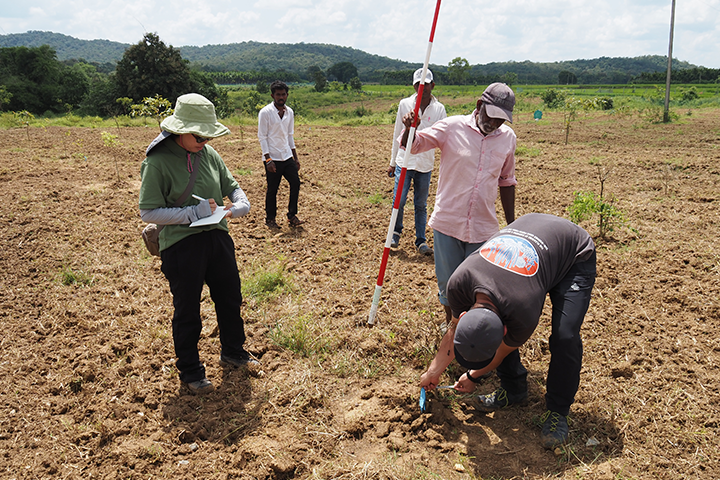 Monitoring seedling growth at a test site