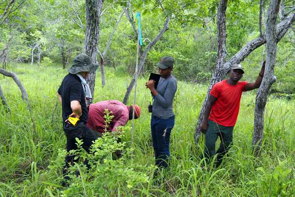 Forest surveys conducted with local people