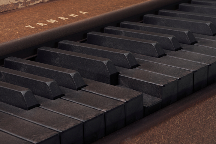 A TORCH T01 keyboard featuring WFM (Wood Flow-Molding technology)