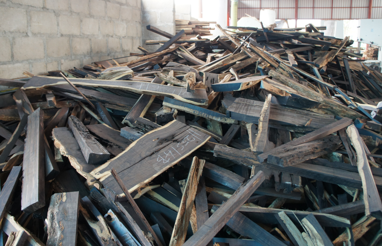 Unused wood portions trimmed away during the selection process for instrument making.