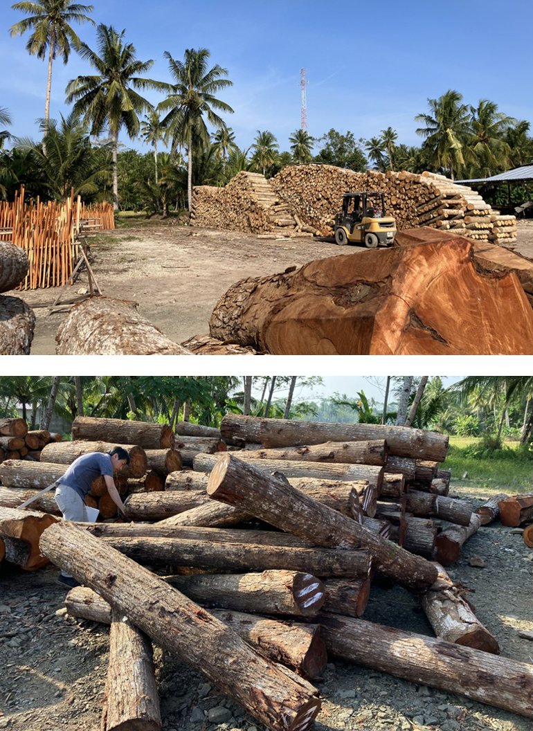 [Photo] Scenes from a local investigation of wood suppliers