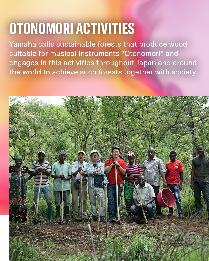 [ Man visual ] Otonomori Activities: Yamaha calls sustainable forests that produce wood suitable for musical instruments “Otonomori” and engages in this activities throughout Japan and around the world to achieve such forests together with society.