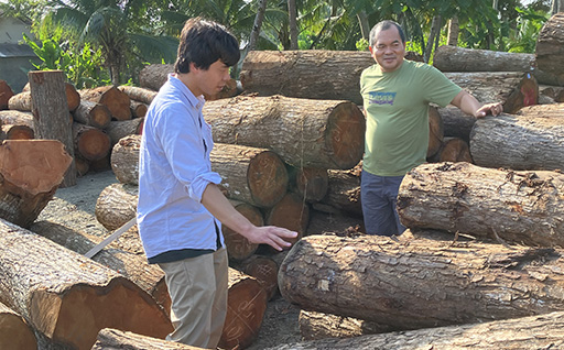 [Photo] Timber due diligence activities at supplier