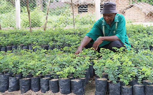 [Photo] Community sapling raising station established in fiscal 2025