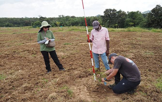 [Photo] Tree planting test conducted with cooperation of local company