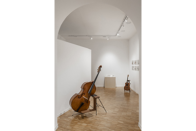 Exhibition Scenes