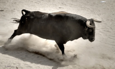 Image of supplemental1