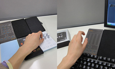 Image of supplemental1