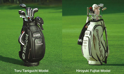 Image of supplemental1