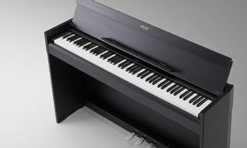 YDP-S51