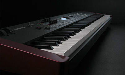 Image of supplemental2