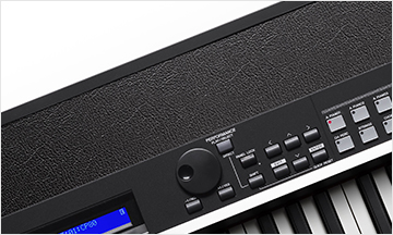 CP4 STAGE/CP40 STAGE