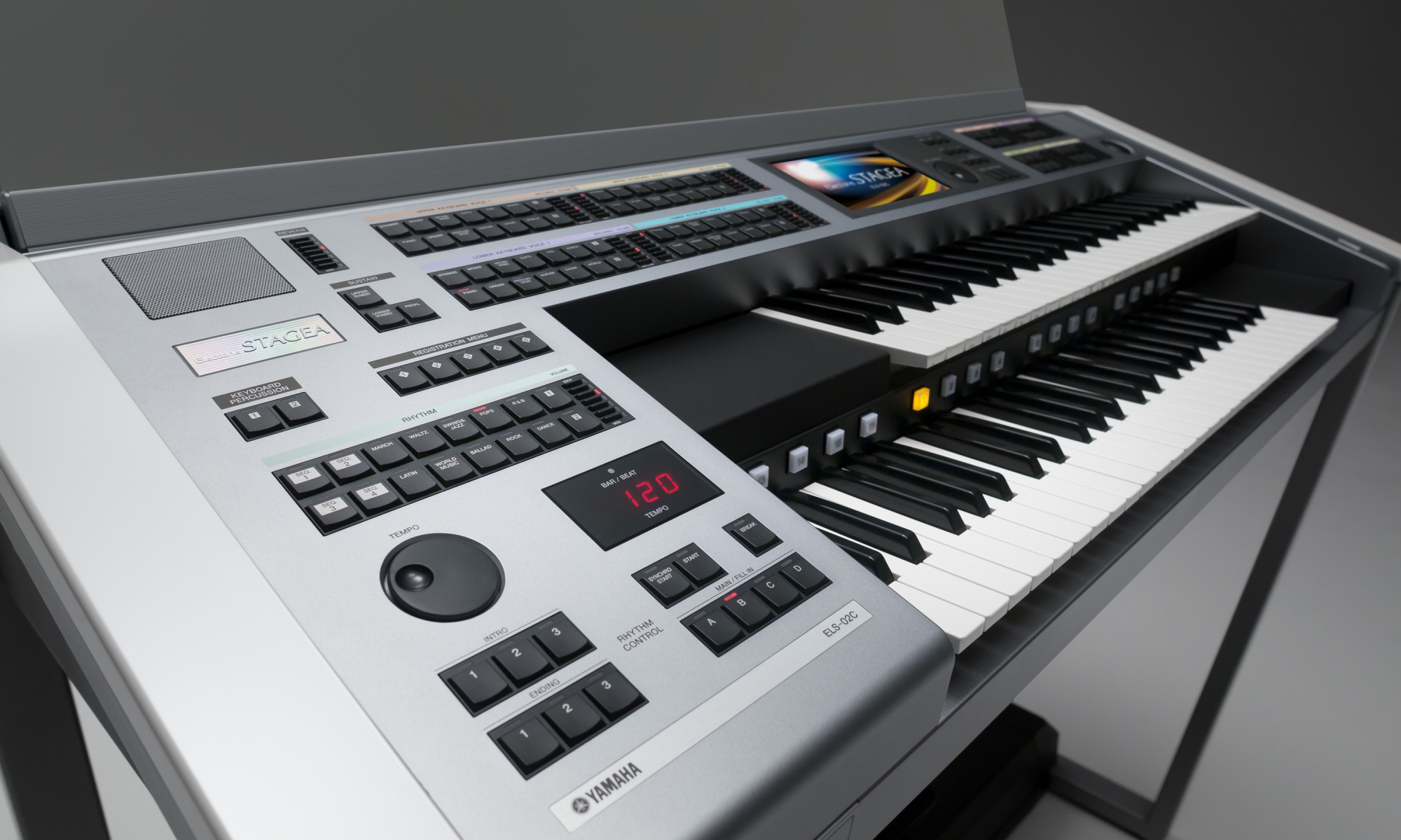 [Thumbnail]