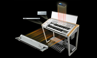 Image of supplemental1