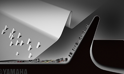 Image of supplemental4