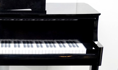 Image of supplemental2