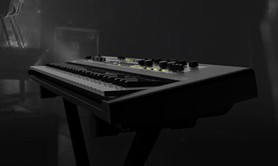 Image of supplemental2