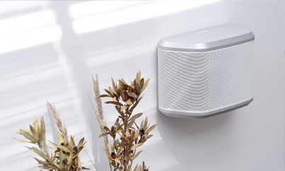 Image of supplemental2