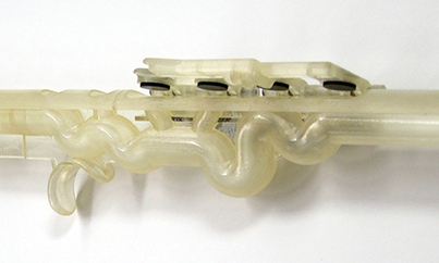 Image of supplemental3