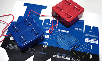 Image of supplemental3