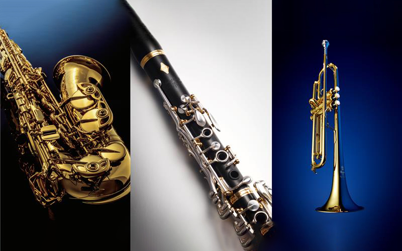 Application of Machine Learning Technique to the Simulation of Wind Instruments