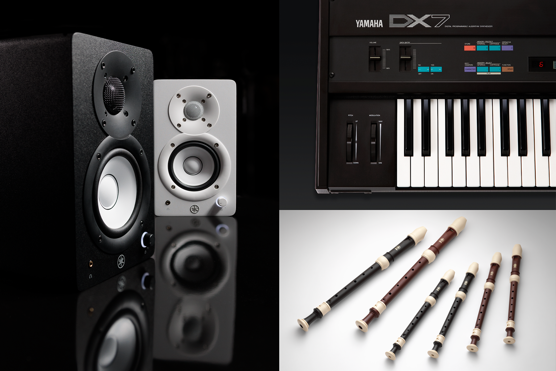 Gray-box Modeling for Audio Equipment and Musical Instruments