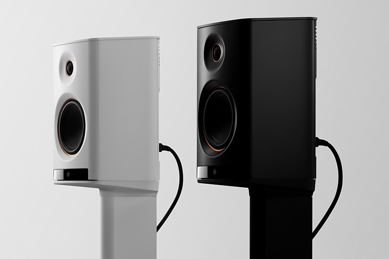 LoudsSpeaker Nonlinearity Distortion Control Technologies