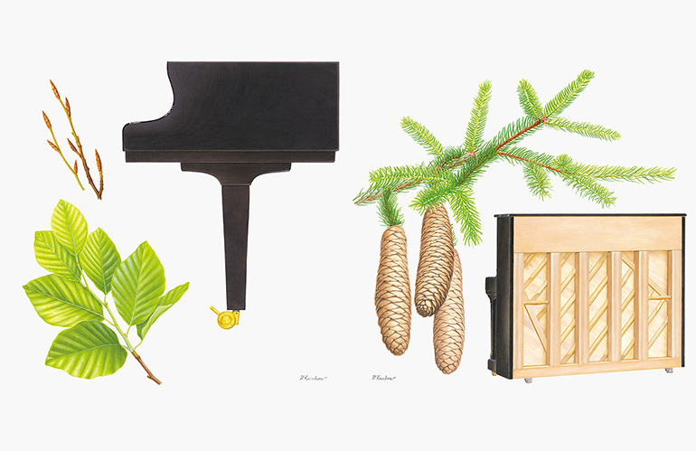 [画像] 勝倉秀美