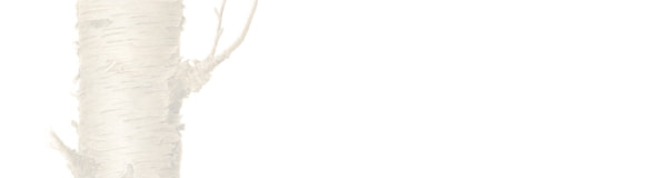 [画像] バーチ＆群生地へのリンクボタン