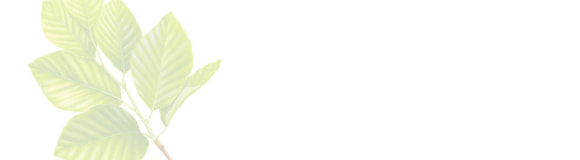 [画像] ヨーロピアンビーチ＆群生地へのリンクボタン