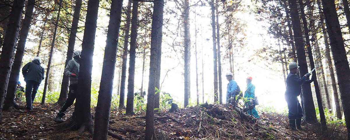 [ サムネイル ] 育樹祭で枝打ちを行うヤマハグループ従業員。地面に近い部分の枝を落とすひと手間を加えることで、木材の品質がより高まる