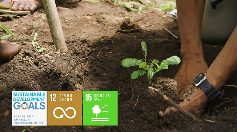 [ 画像 ] 持続的な木材調達の実現を目指す「タンザニア森林保全プロジェクト」