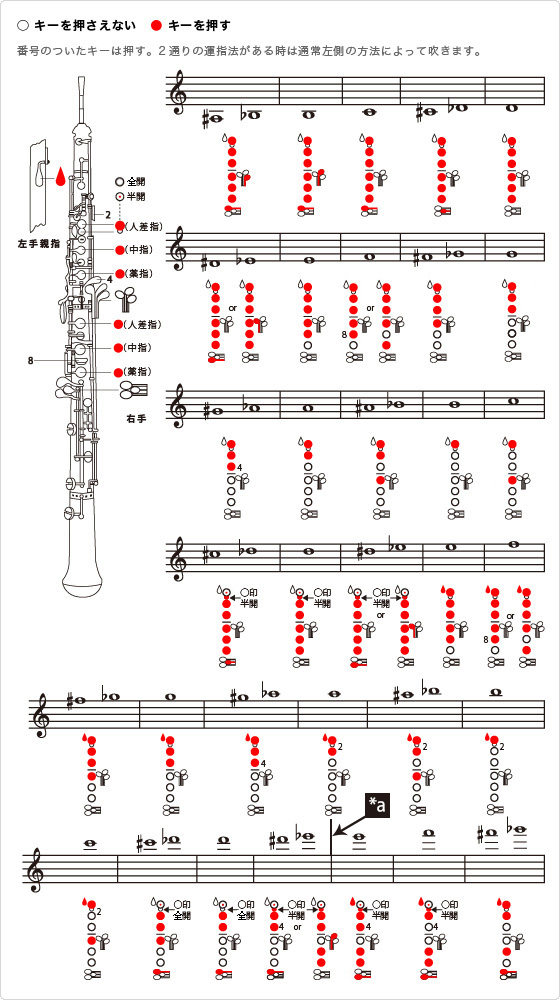 オーボエの吹き方 オーボエの運指表 楽器解体全書 ヤマハ株式会社