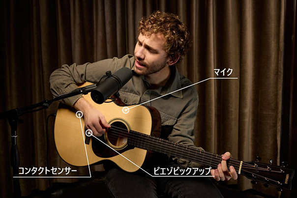 [ 画像 ] 3つのピックアップ