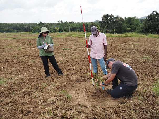[ 画像 ] インドでのインドローズウッド調査の様子