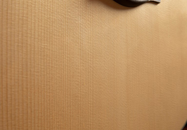 [ 画像 ] アディロンダックスプルースの表板