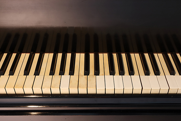 [ 画像 ] 欠損の補修を行った鍵盤