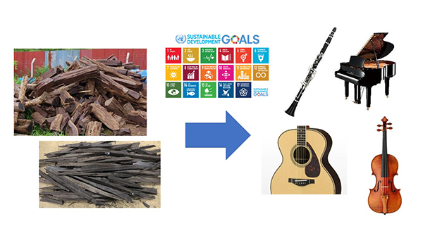 [ 画像 ] 楽器・音響生産本部 製造プロセス統括部 木材技術部 木材要素グループ
