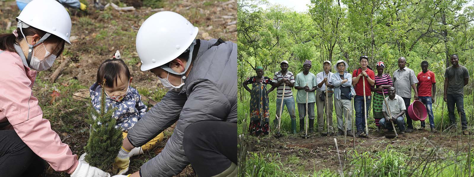 [画像] 木を減らさないために