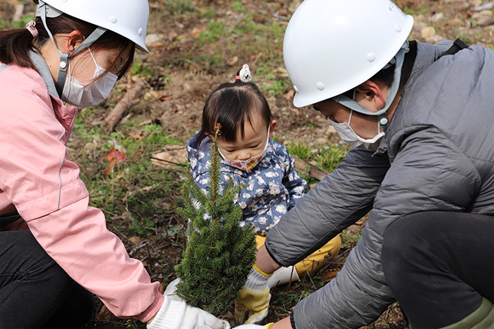 [画像] アカエゾマツ植樹祭