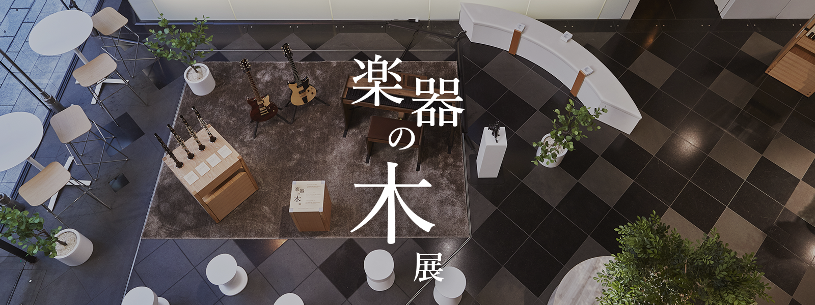 ヤマハの基礎研究 - コラム - 「楽器の木」展 - ヤマハ株式会社
