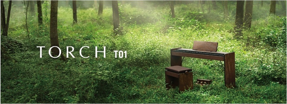 TORCH