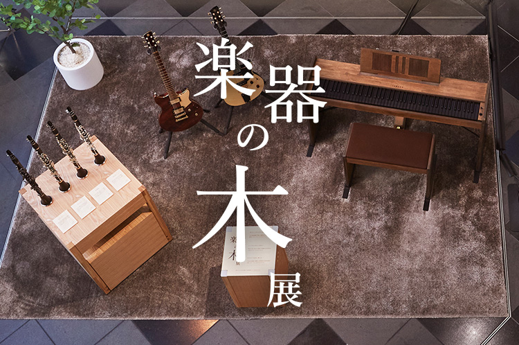[サムネイル] 楽器の木展