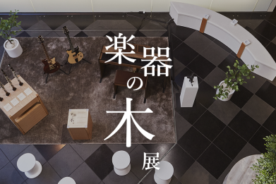 楽器の木展