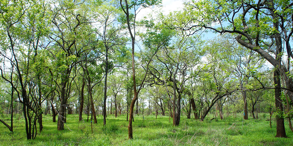 [サムネイル] 特集1